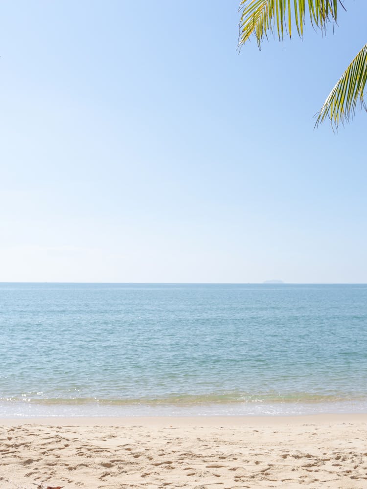 Beach - Beach Stock Videos & Royalty-Free Footage 1