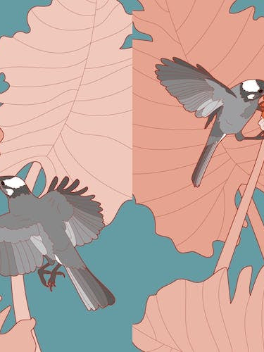 Grey Birds With Pink Leaves