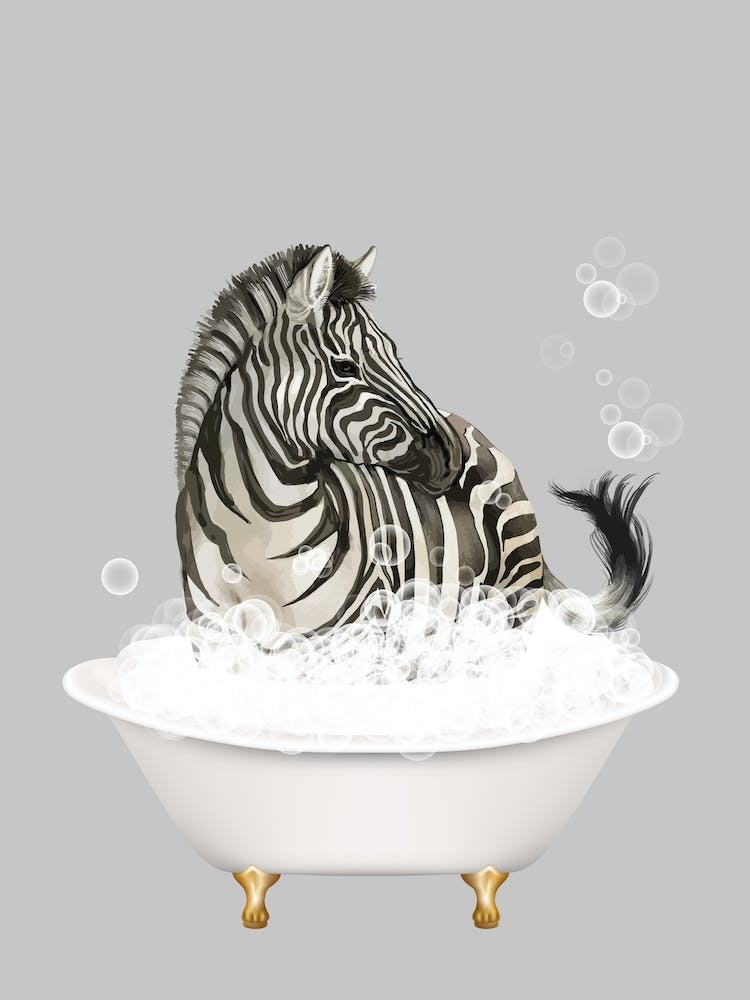 Zebra taking a bath