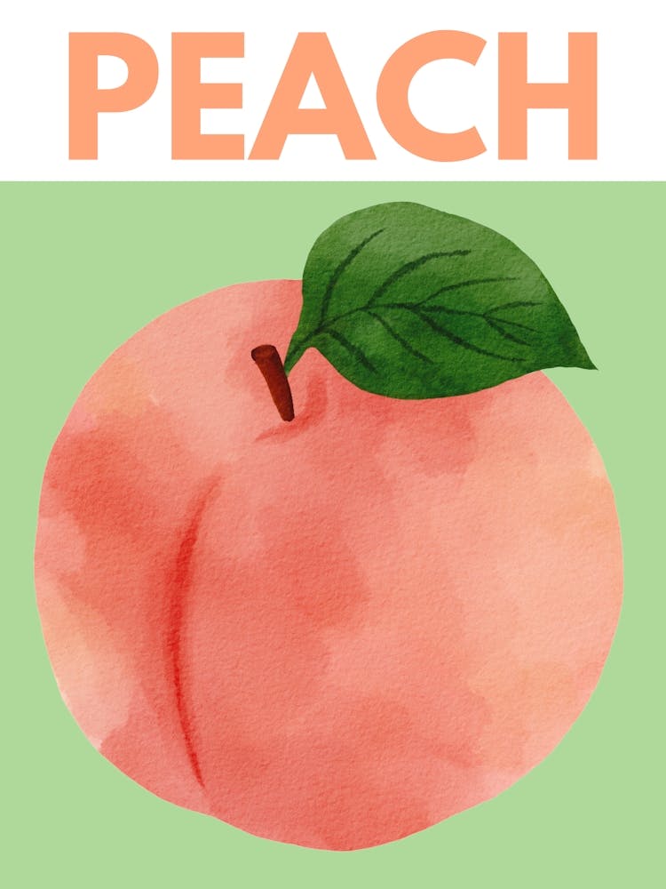 Peach Kitchen Illustration