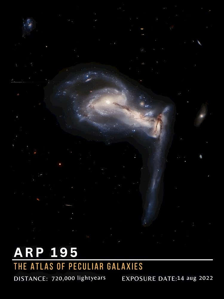 Atlas Of Pelican Balances