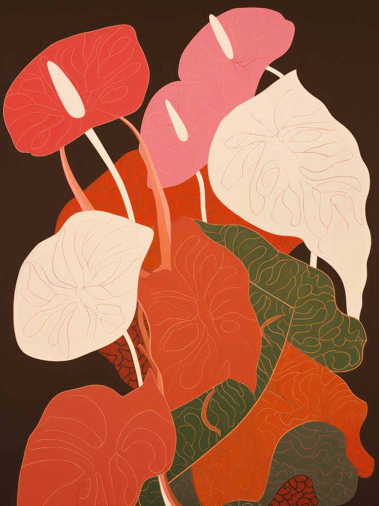Laceleaf Flower Big Bold Illustration 2