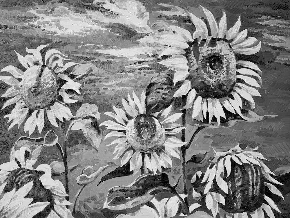 Sunflowers 2
