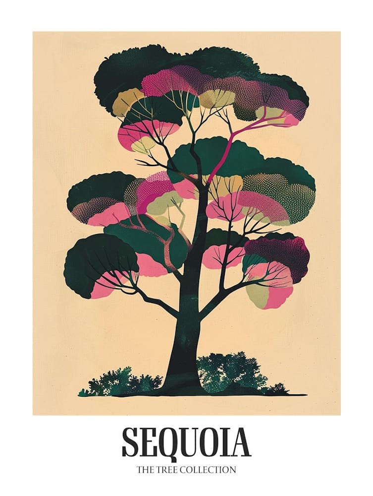 Sequoia Tree Colourful Illustration 2 Poster