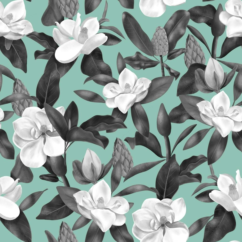 Magnolias Flowers Green