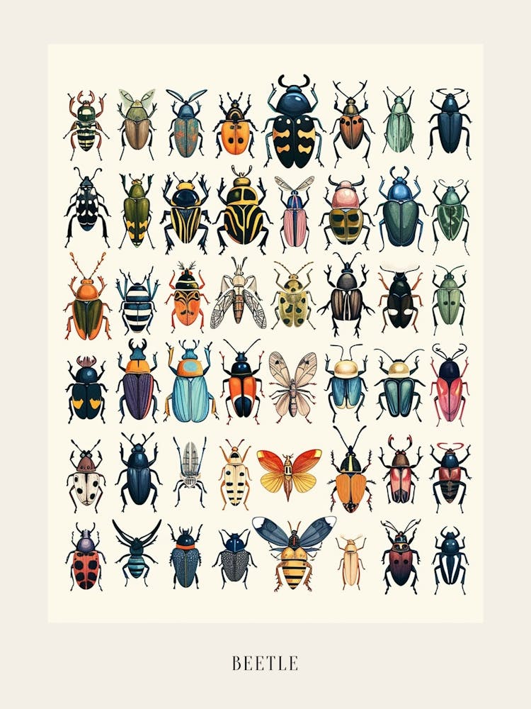 Colourful Insect Illustration Beetle 19 Poster