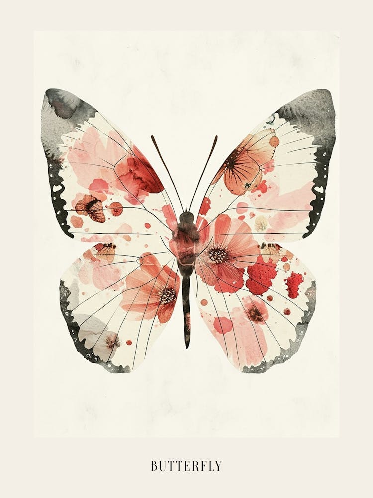Colourful Insect Illustration Butterfly 34 Poster