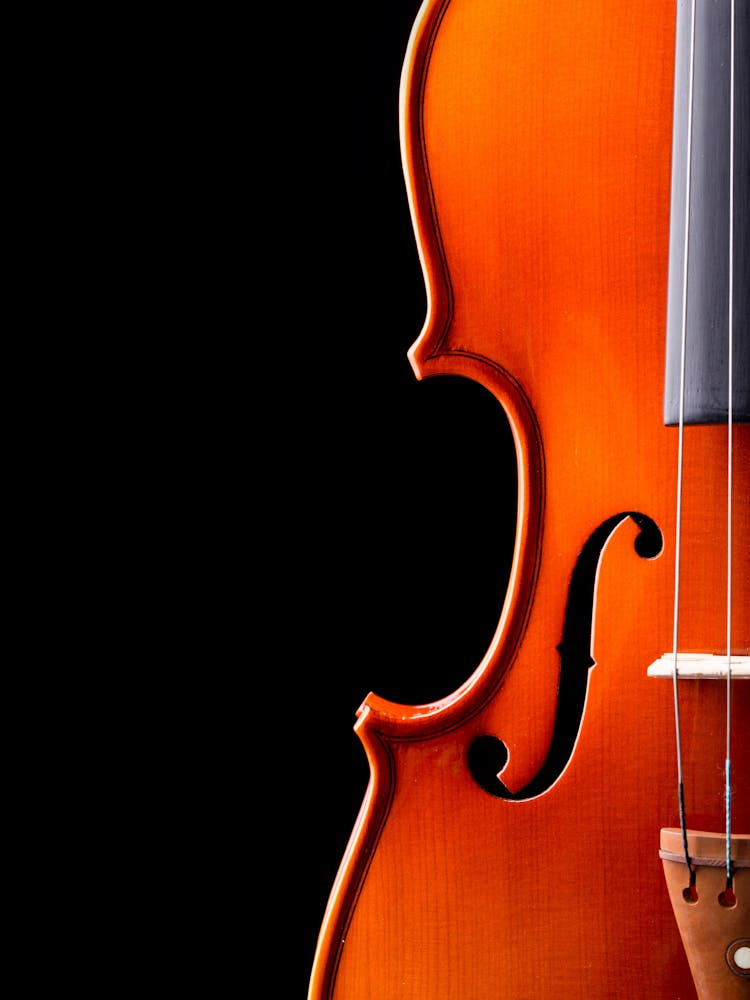 Violine auf Schwarzem Hintergrund