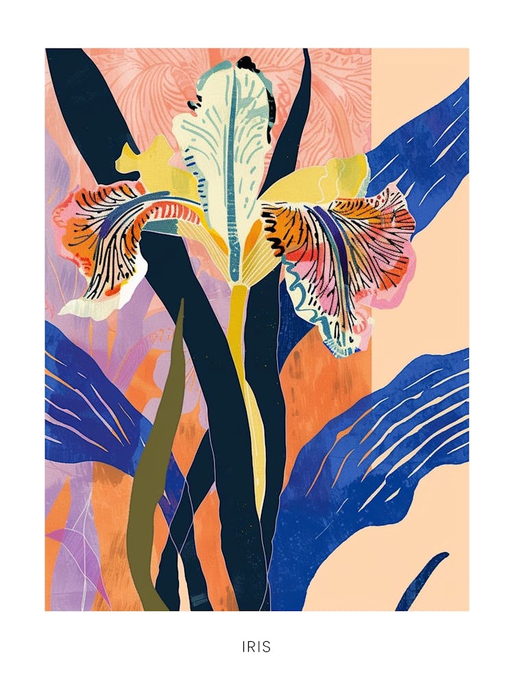 Colourful Flower Illustration Poster Iris 8