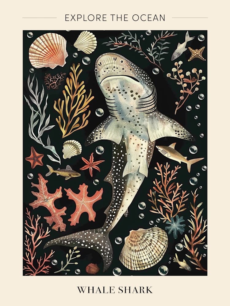 Whale Shark Seascape Black Background Illustration 3 Poster