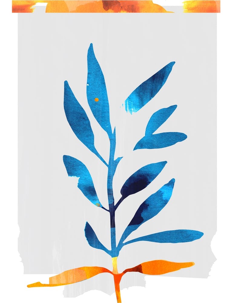 Blue And Orange Botanical