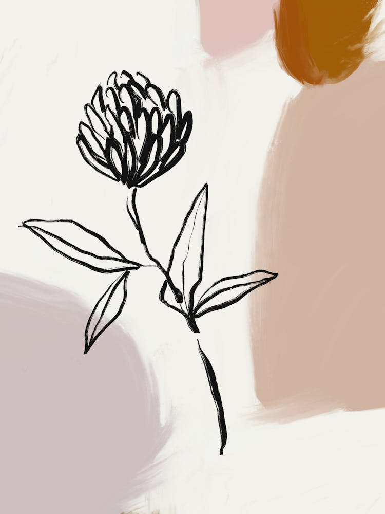 Flower Drawing