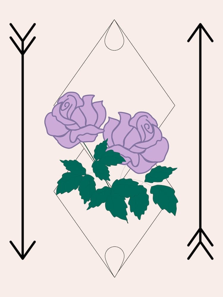 Lila Rose und Pfeile