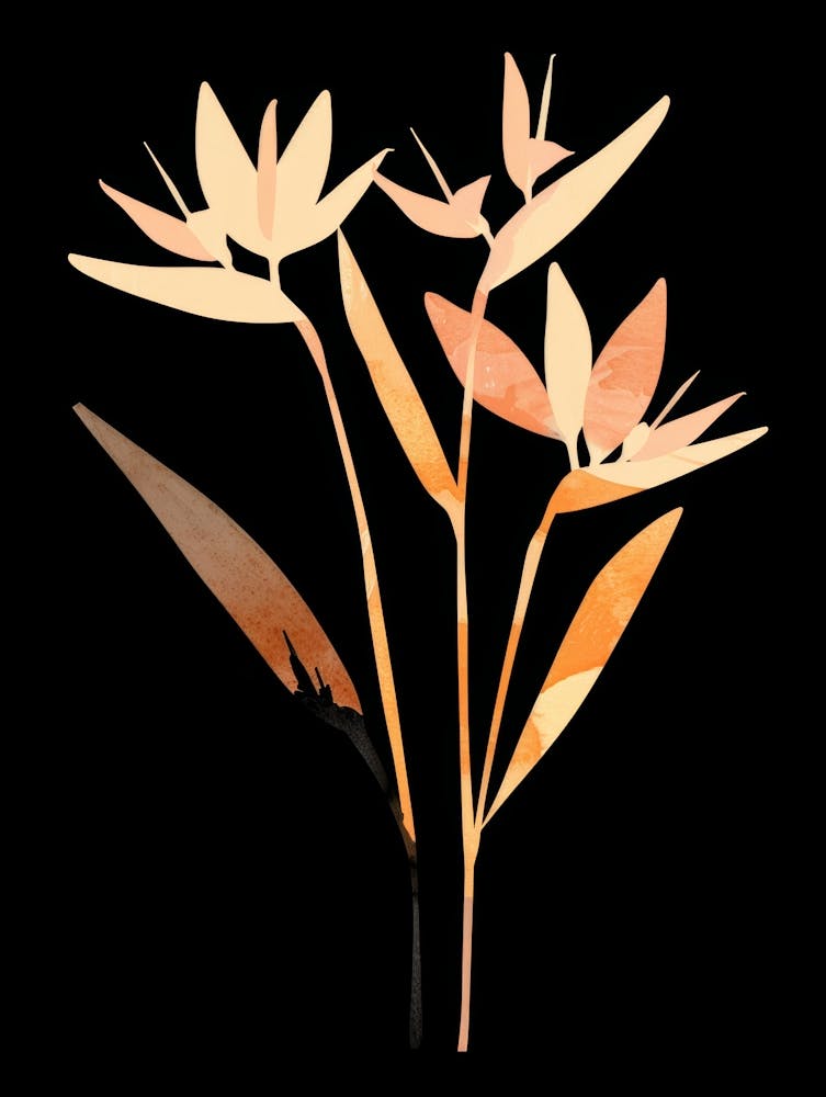Watercolor Flowers On Black Background