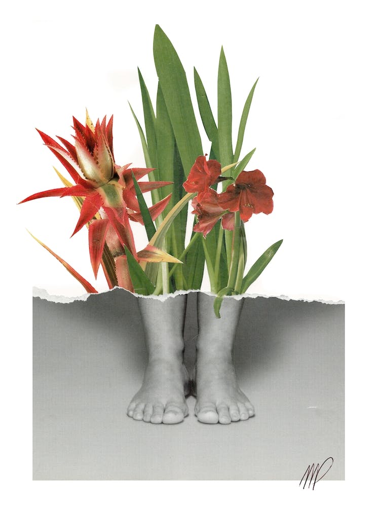 Feed Feet