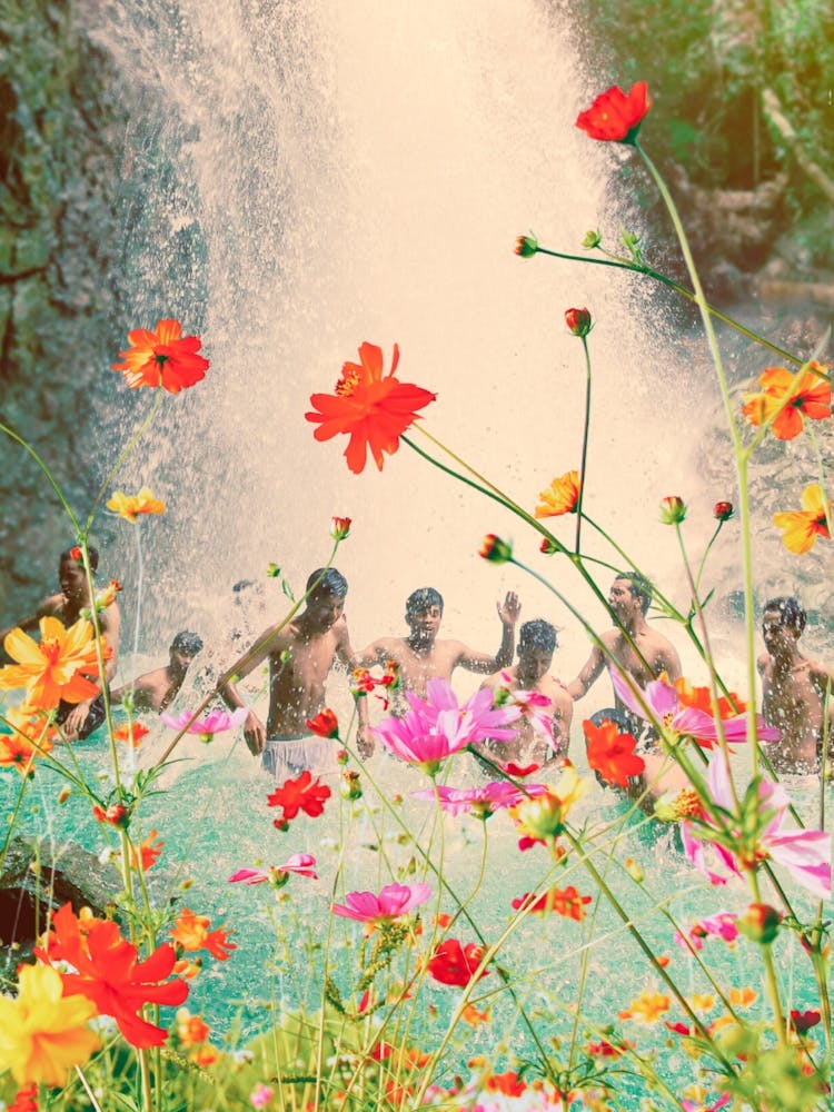 Boys of summer - waterfall and flowers