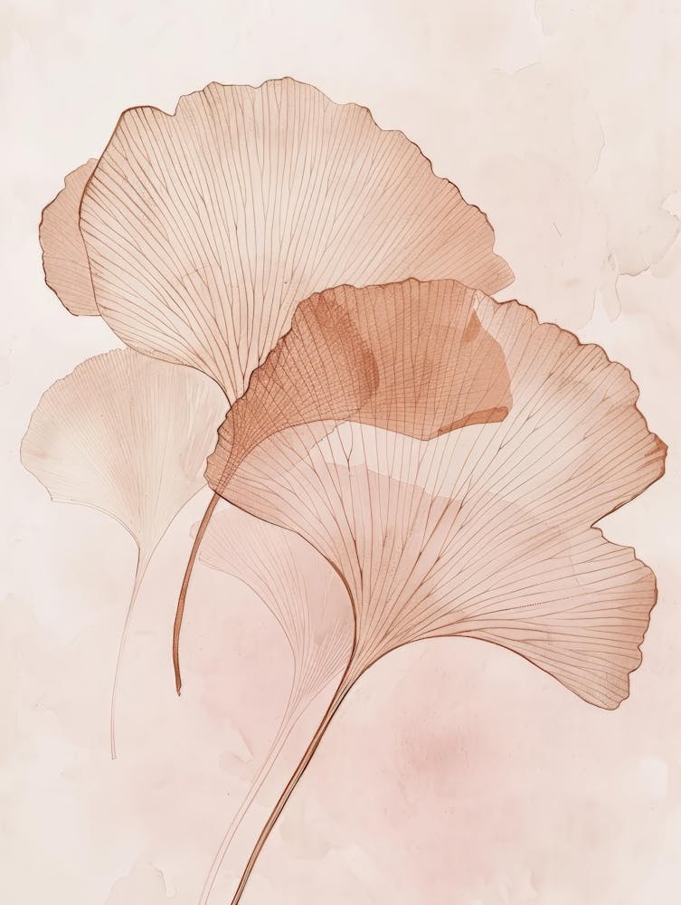 Ginkgo Leaves 24