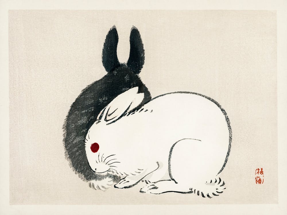 Schwarz-Weiße Kaninchen, Kōno Bairei