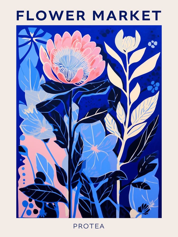 Blue Flower Market Poster Protea 2
