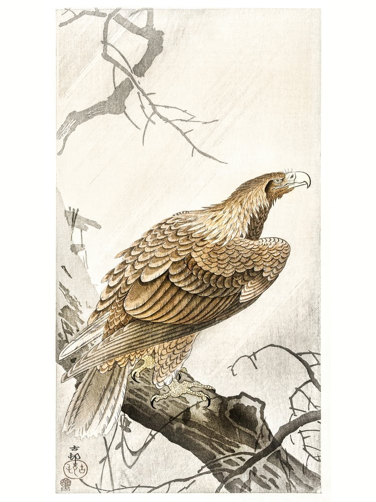 Eagle On Tree Branch (1900 1910), Ohara Koson