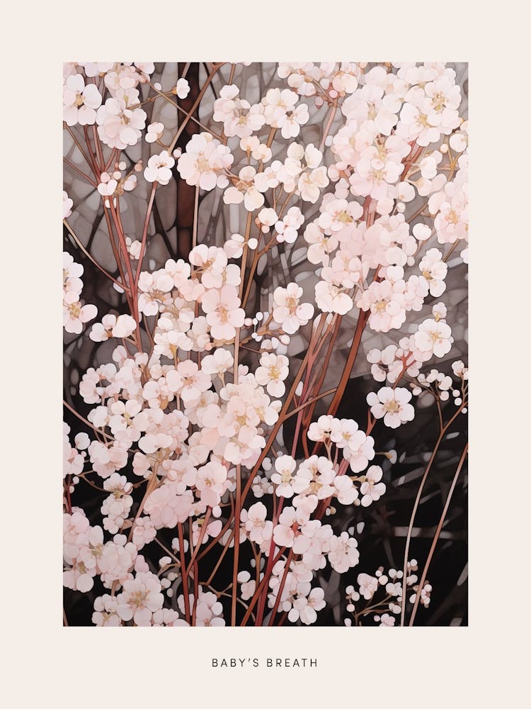 Flower Illustration Babys Breath 2 Poster