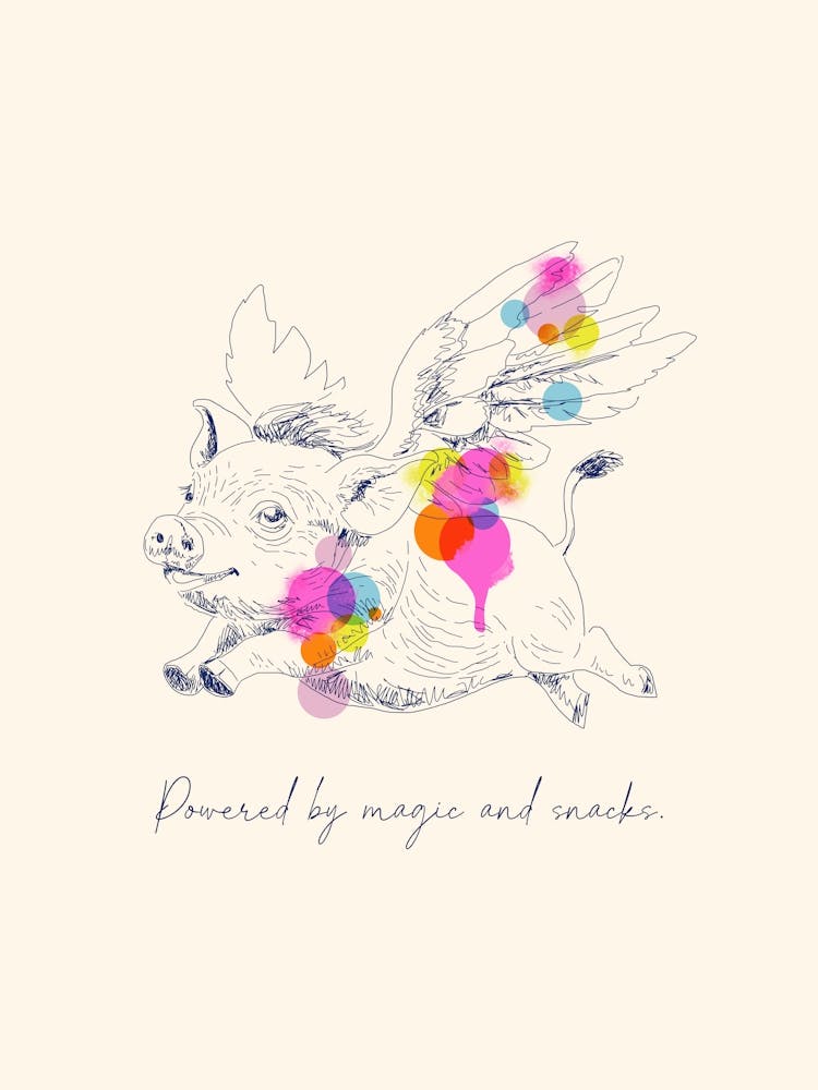Flying Pig