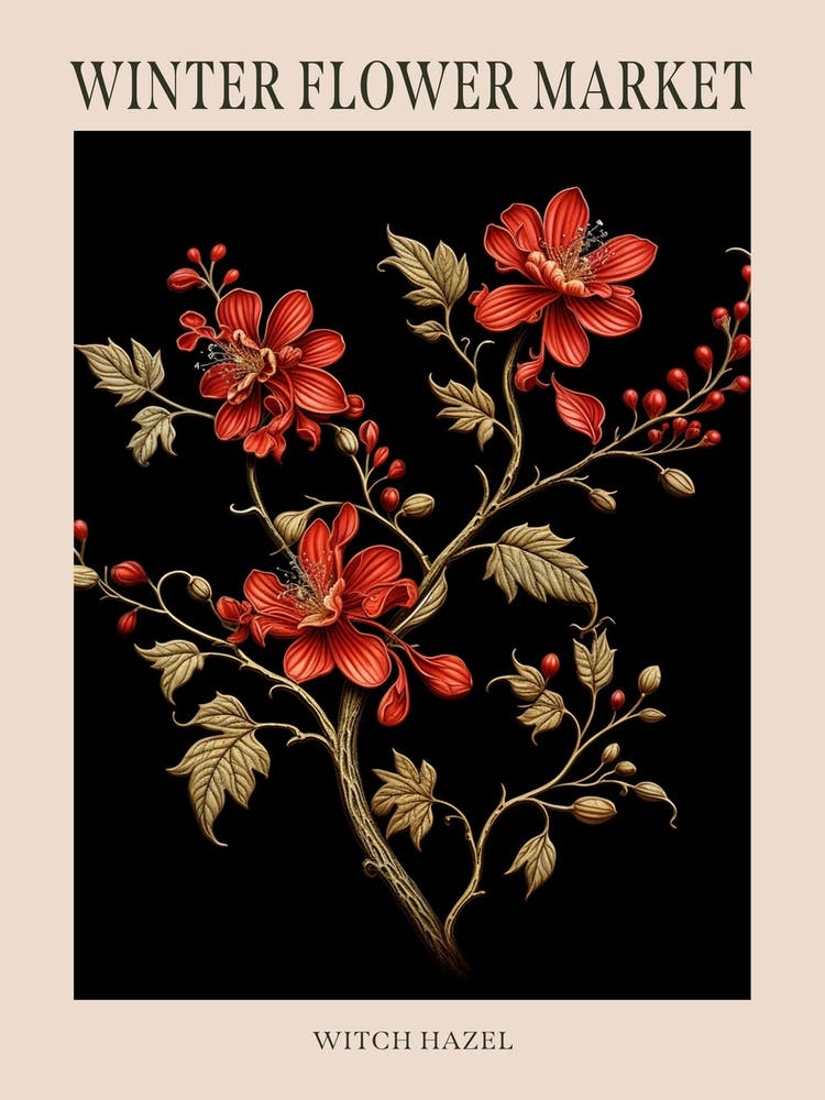 Witch Hazel 1 Winter Flower Market Poster