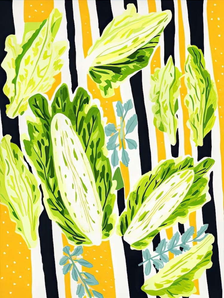 Endivie Sommerillustration 8