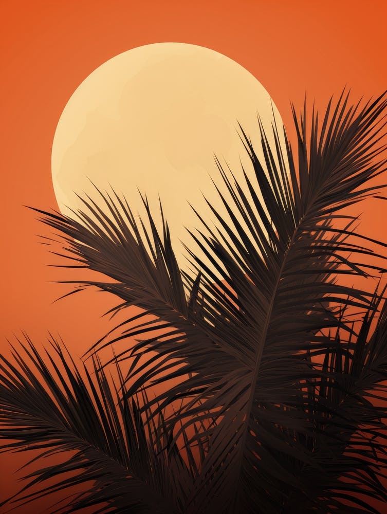 Sunset With Palm Trees