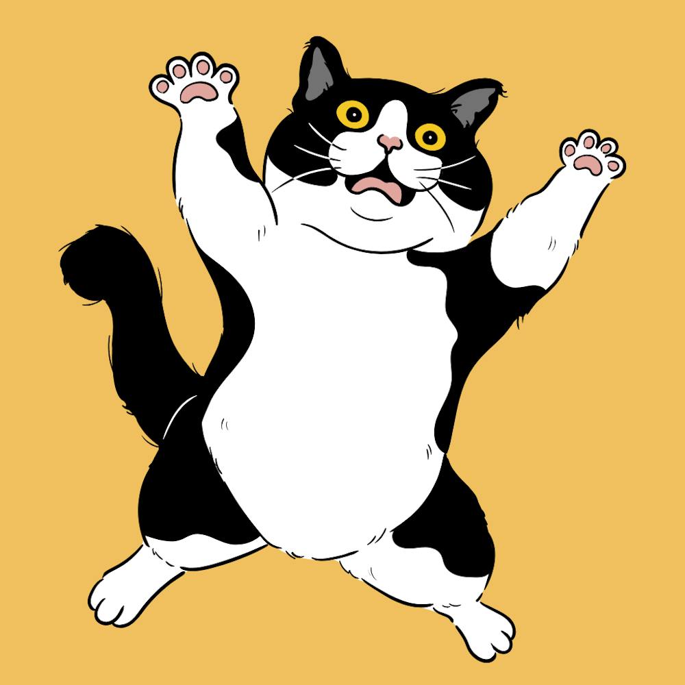 Cat Jumping