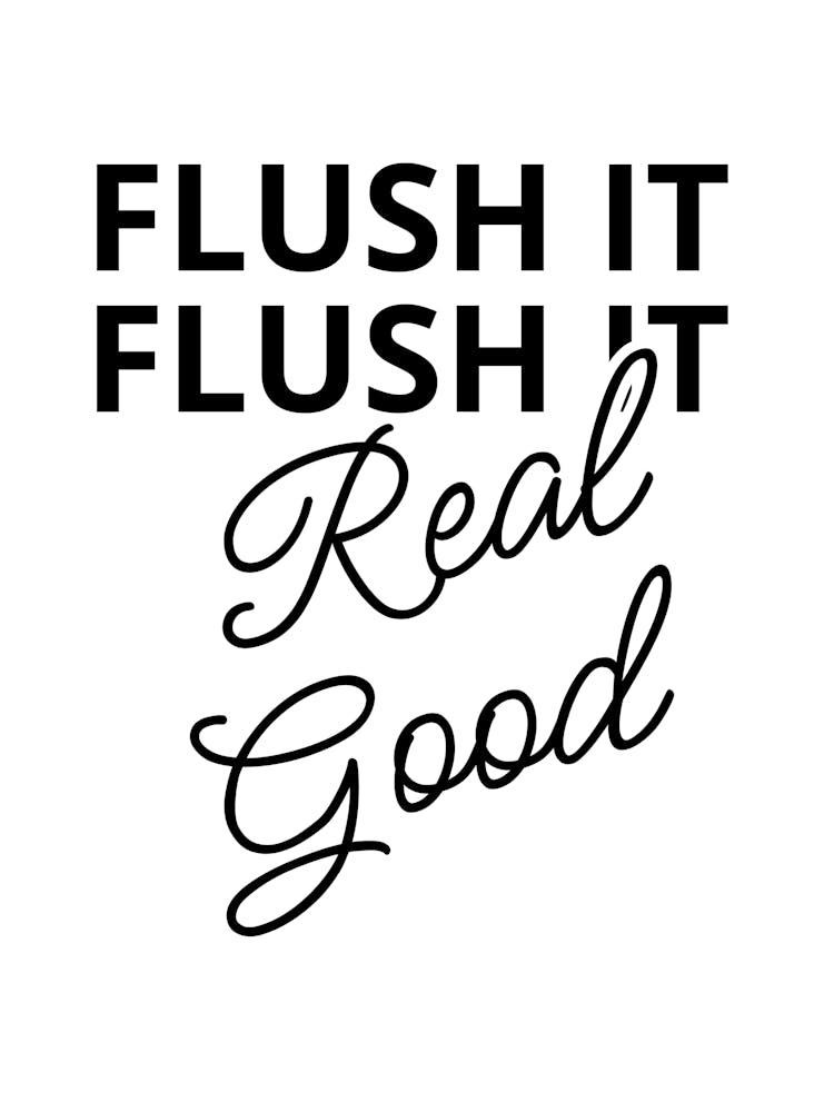 Flush It Real Good
