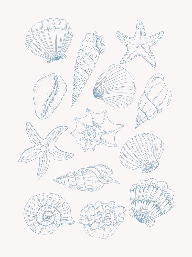 Shells