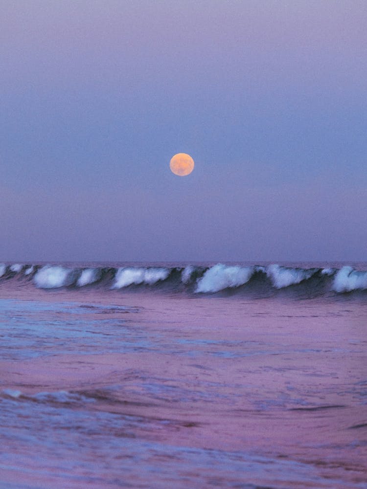 Imgl263320190814 D Copy 2