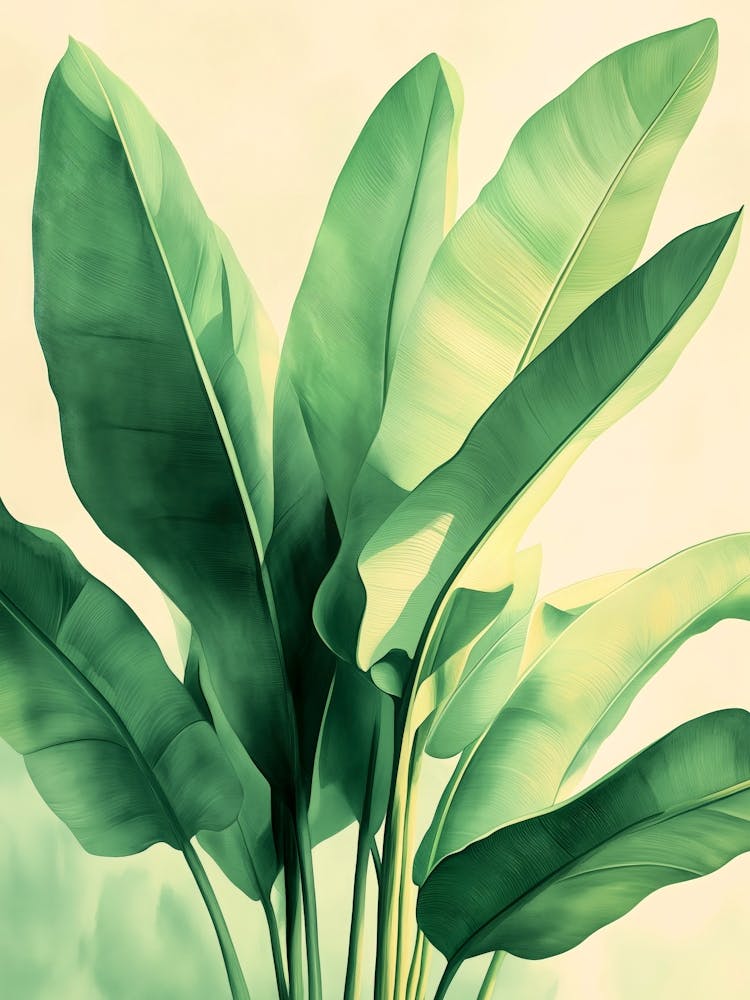 Banana Leaves 2