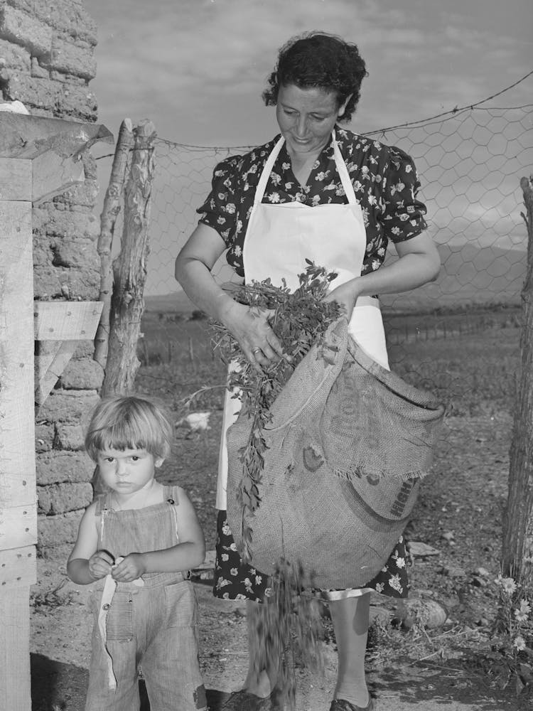 Spanish American Woman And Her Son With Greens Which They Feed To Their Rabbits Near Taos, New Mexico By 1