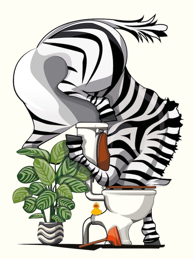 Zebra Drinking From Toilet
