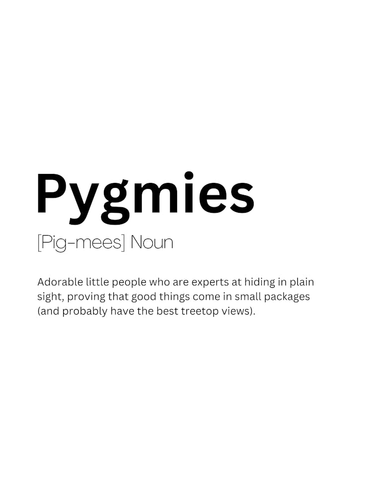 Pygmies Definition Meaning 1