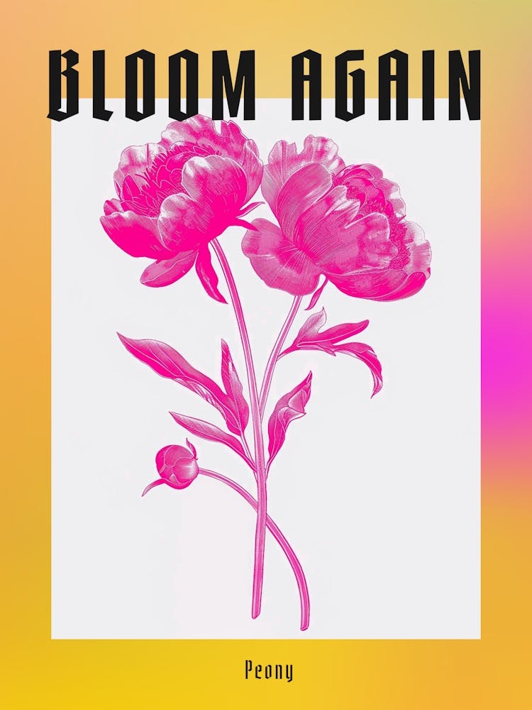 Hot Pink Peony 1 Poster