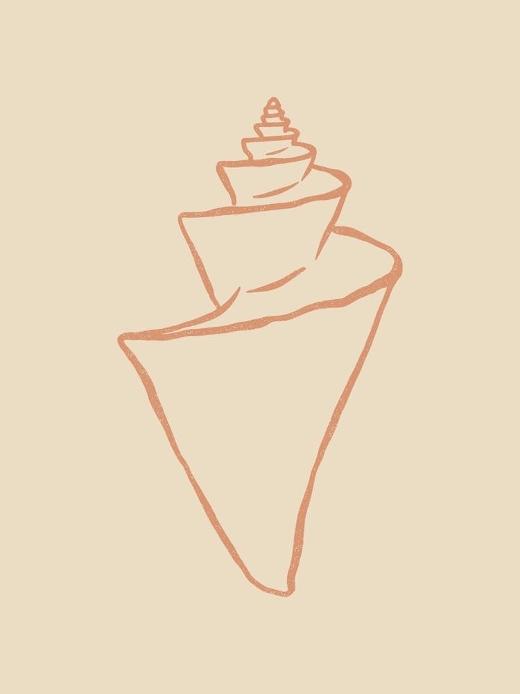Seashell 08