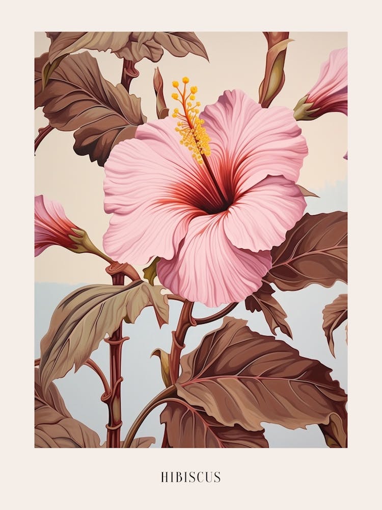 Floral Illustration Hibiscus 1 Poster