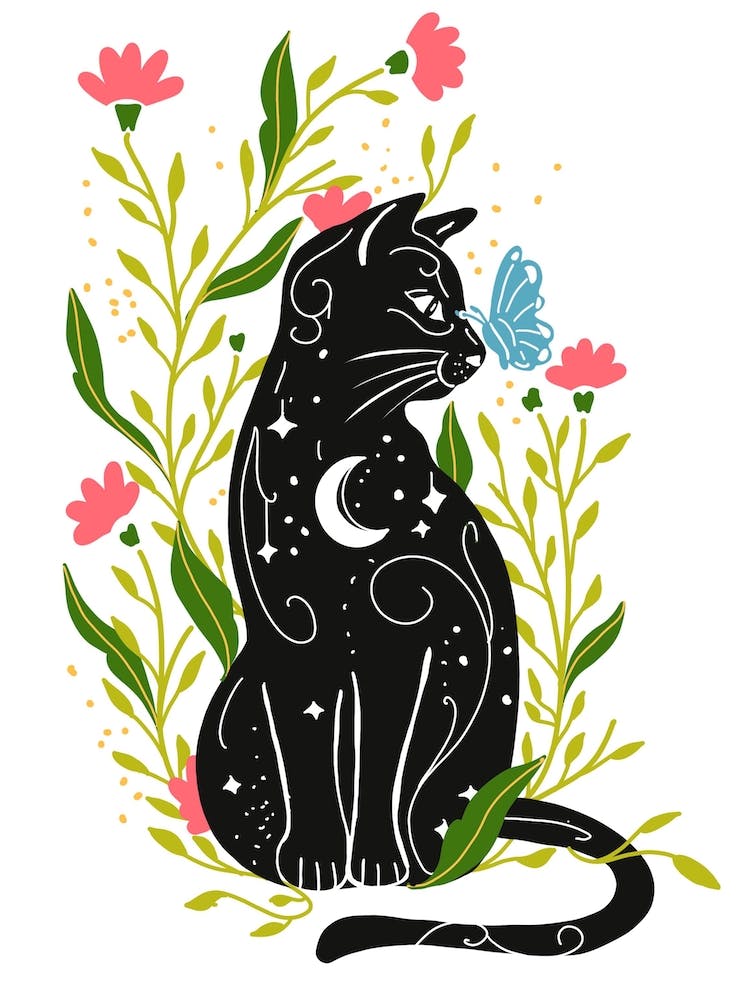 Magical Moon Cat