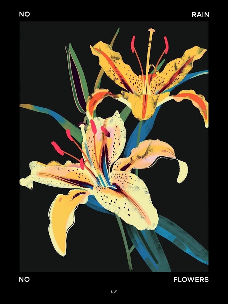 No Rain No Flowers Poster Lily 3