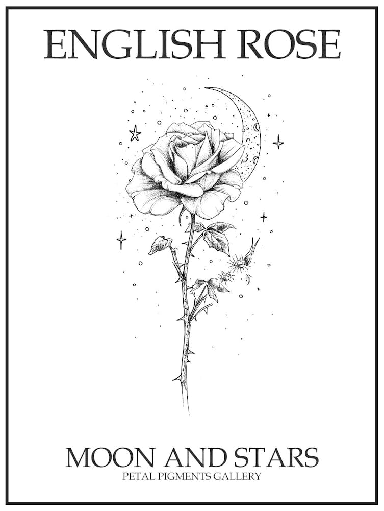 English Rose Moon And Stars Line Drawing 2 Poster
