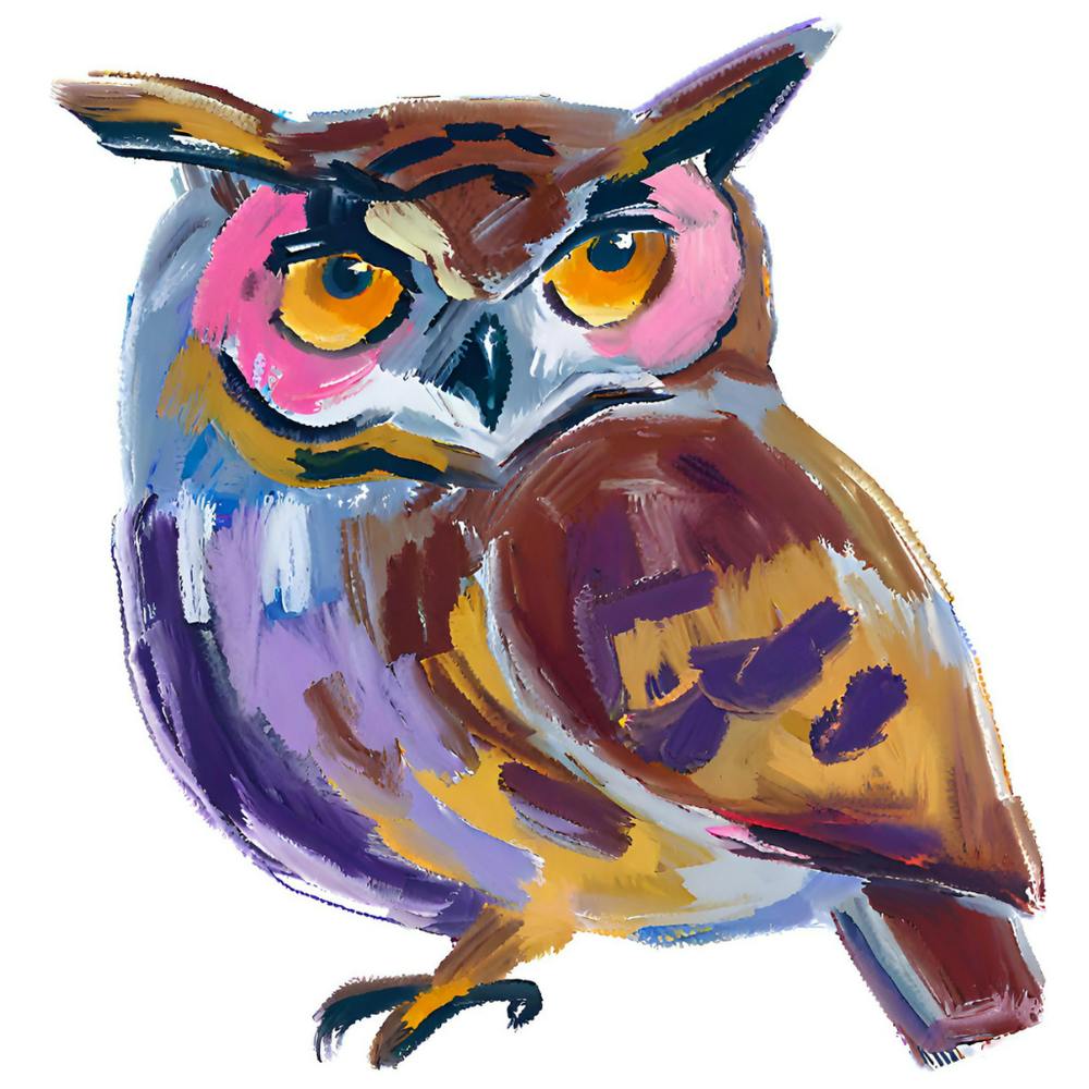 Owl 02