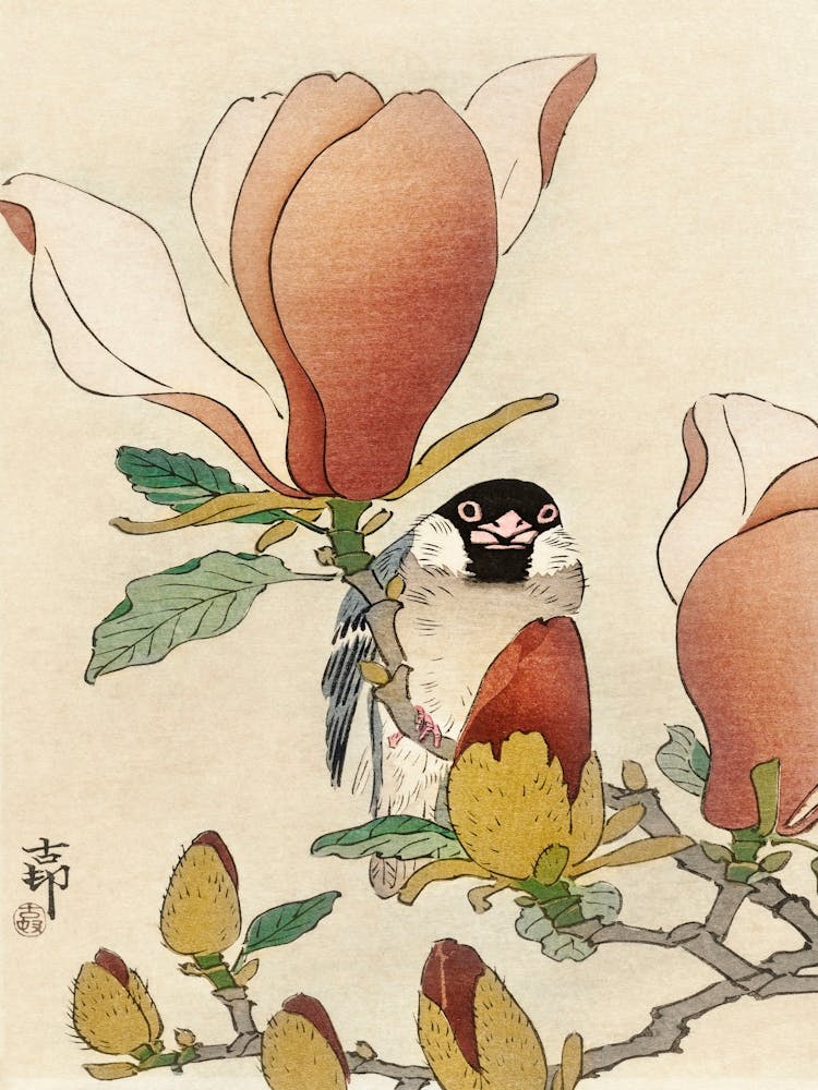 Sparrow On Blooming Magnolia Branch (1900 1930), Ohara Koson