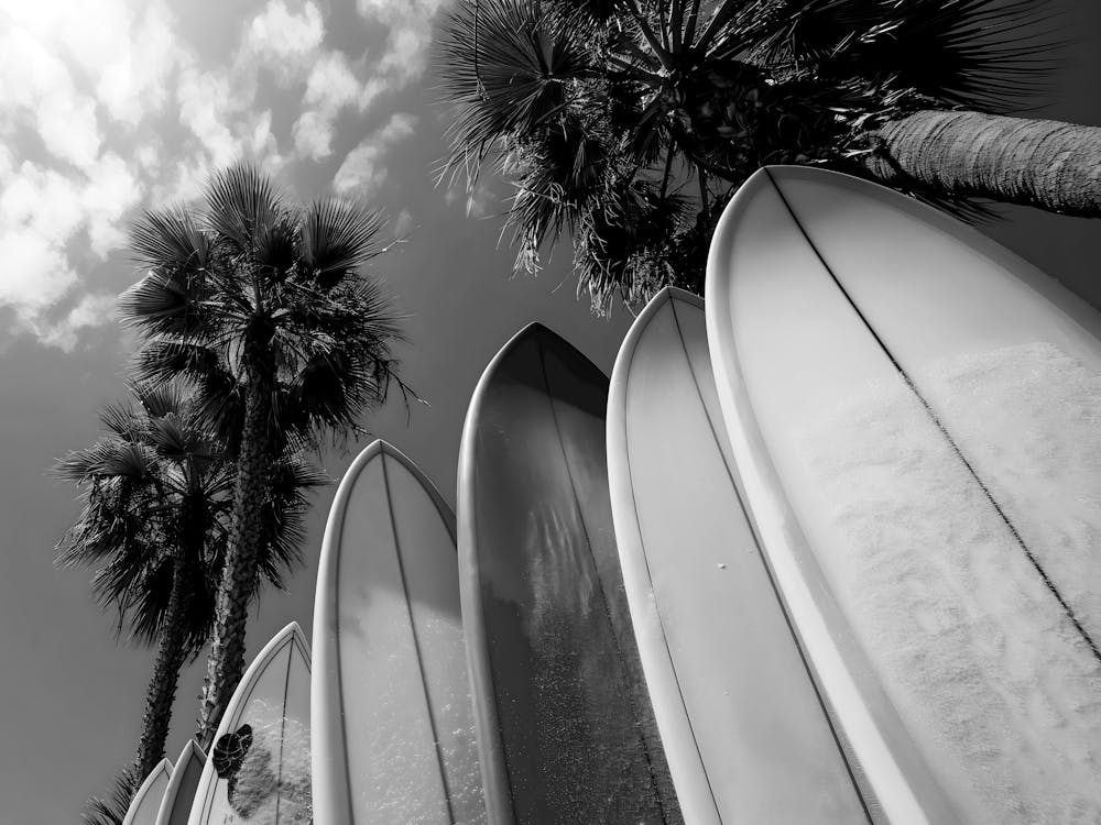 Black And White Surfboards 3