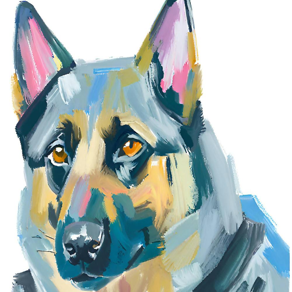 German Shepherd 02