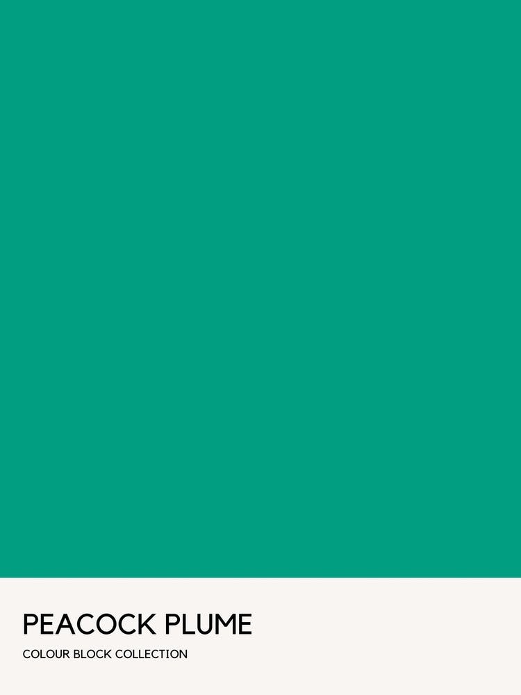 Peacock Plume Colour Block Poster