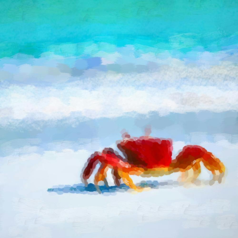 Red crab