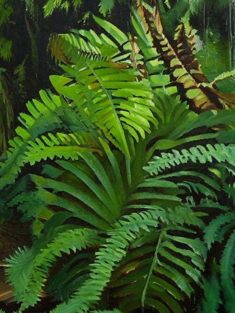 Crested Wood Fern Cézanne Style